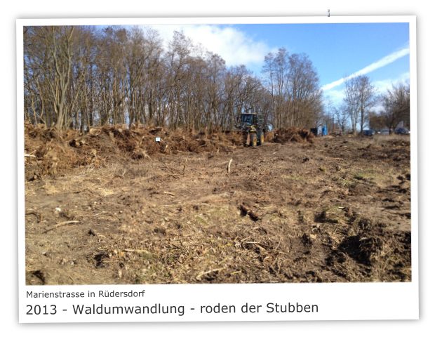 Marienstrasse in 15562 Rdersdorf 2013 - Waldumwandlung  - roden der Stubben