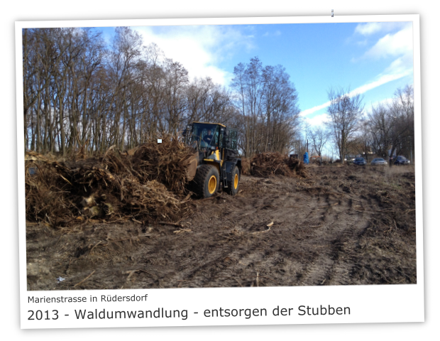 Marienstrasse in 15562 Rdersdorf 2013 - Waldumwandlung  - entsorgen der Stubben