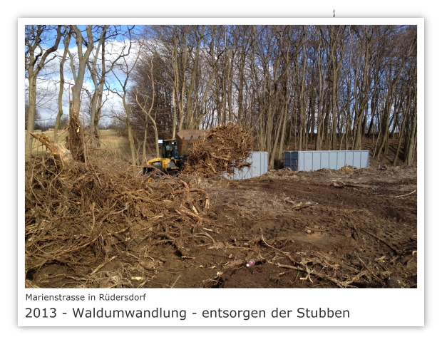 Marienstrasse in 15562 Rdersdorf 2013 - Waldumwandlung  - entsorgen der Stubben