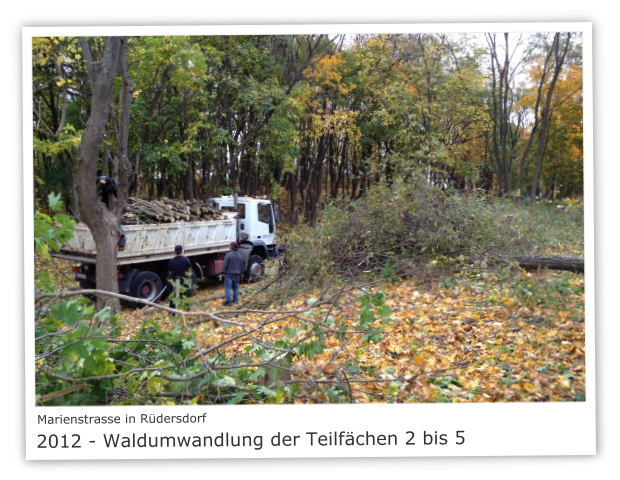 Marienstrasse in 15562 Rdersdorf 2012 - Waldumwandlung -der Teilflchen 2 bis 5
