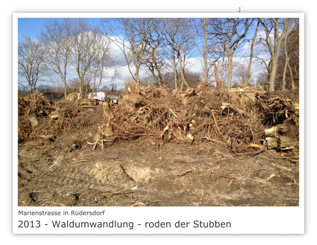 Marienstrasse in 15562 Rdersdorf 2013 - Waldumwandlung  - roden der Stubben